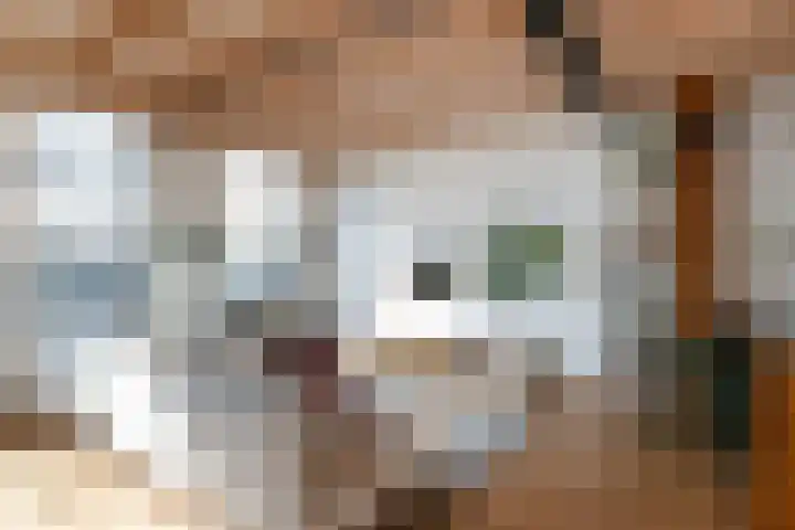 Busken Huetstraat 4 Utrecht thumbnail 8