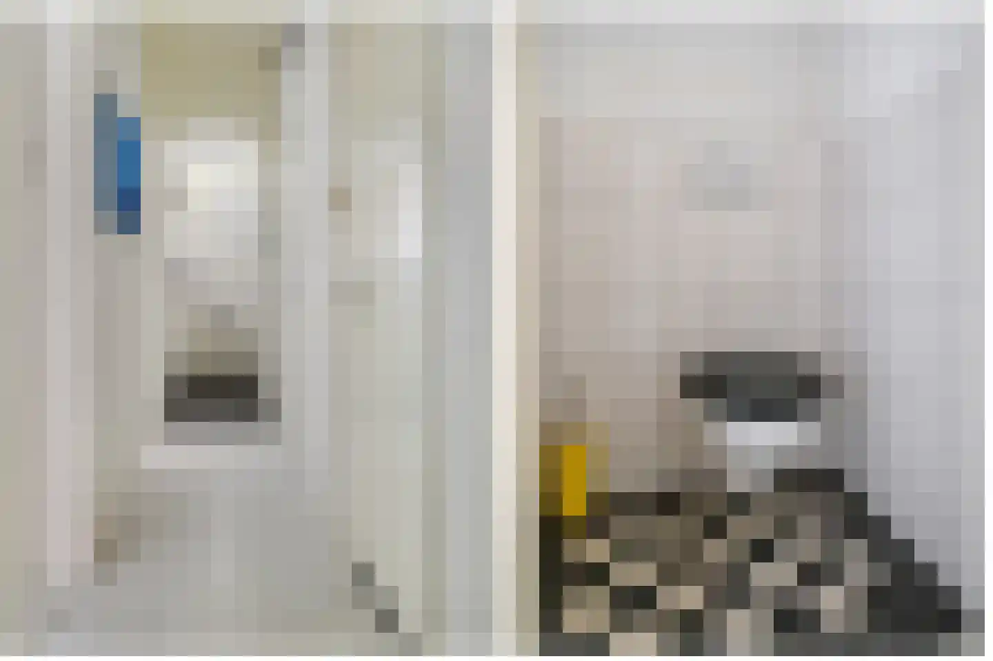 Busken Huetstraat 46 Utrecht thumbnail 6