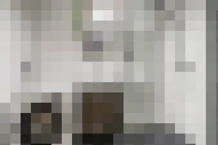 Busken Huetstraat 72 Utrecht thumbnail 4