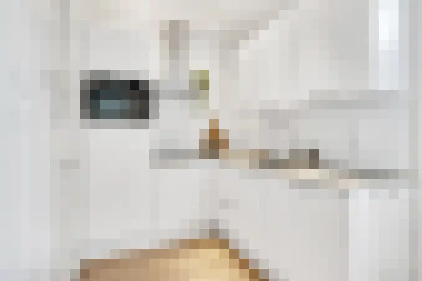 Busken Huetstraat 8 Utrecht thumbnail 17