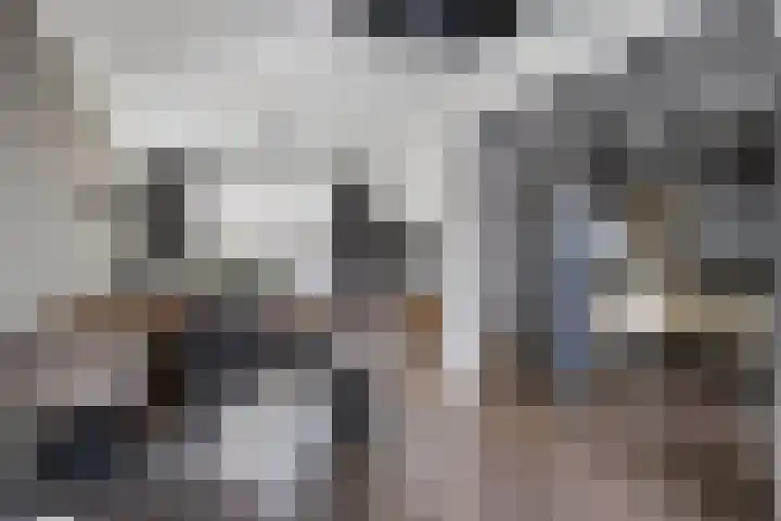 Buskensstraat 8 Boekel thumbnail 10