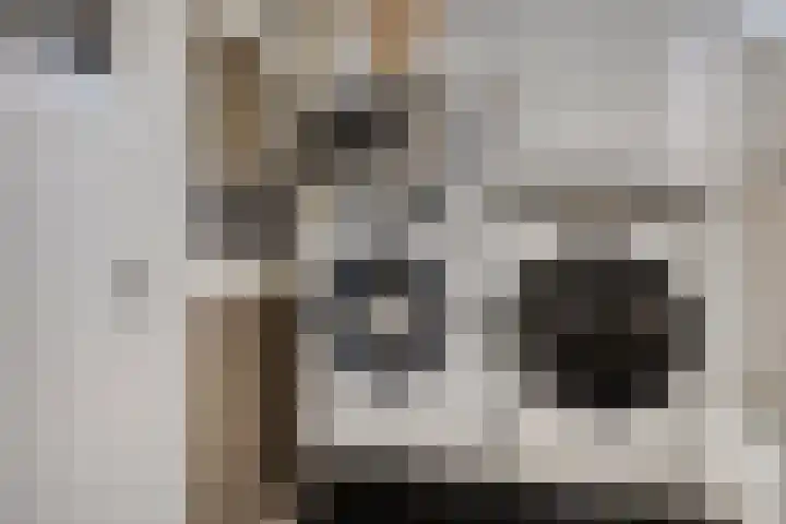 Buskensstraat 8 Boekel thumbnail 13