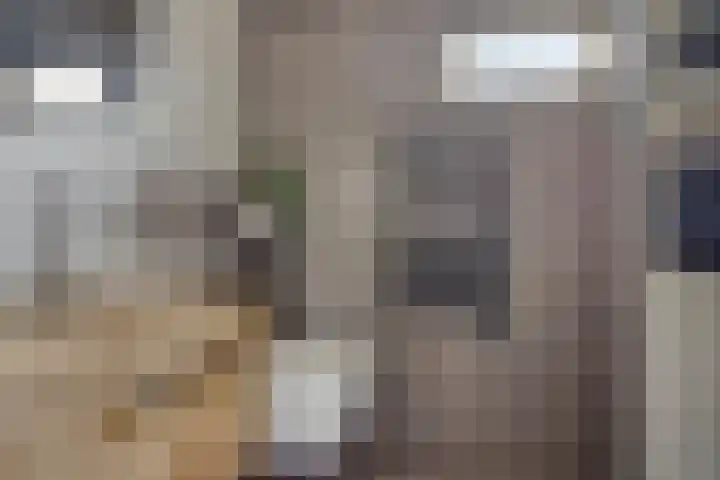 Buskensstraat 8 Boekel thumbnail 18