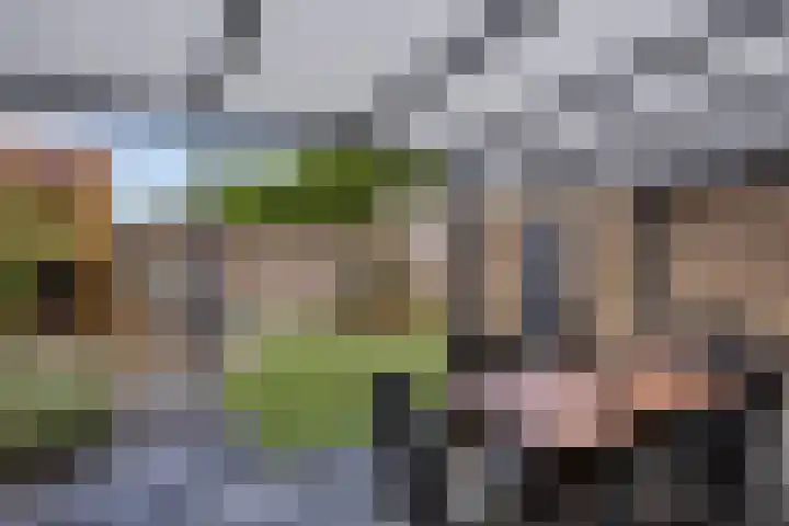Buskensstraat 8 Boekel thumbnail 21