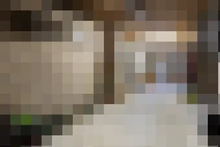 Buskensstraat 8 Boekel thumbnail 25