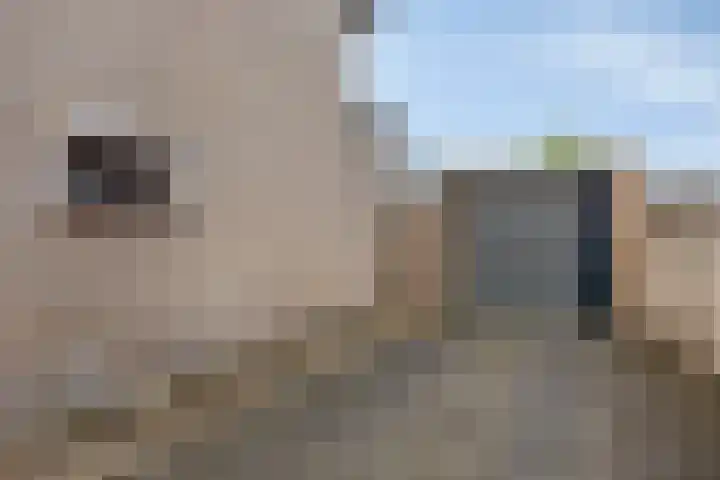 Buskensstraat 8 Boekel thumbnail 4
