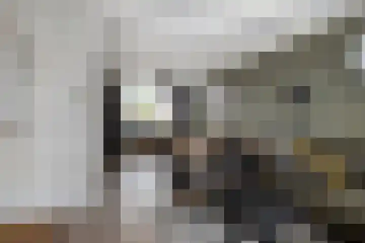 Buskensstraat 8 Boekel thumbnail 7