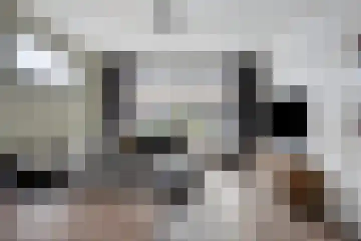 Buskensstraat 8 Boekel thumbnail 8
