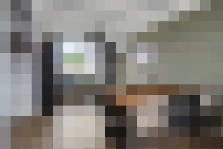 Buskensstraat 8 Boekel thumbnail 9