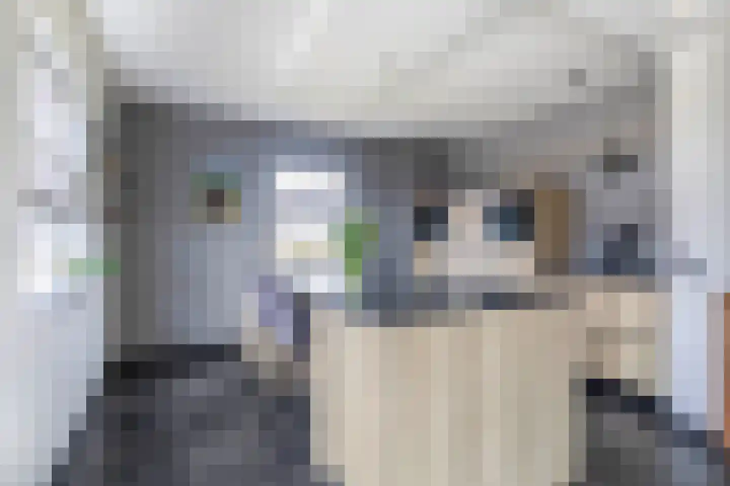 Buskensven 1 Oostrum thumbnail 11