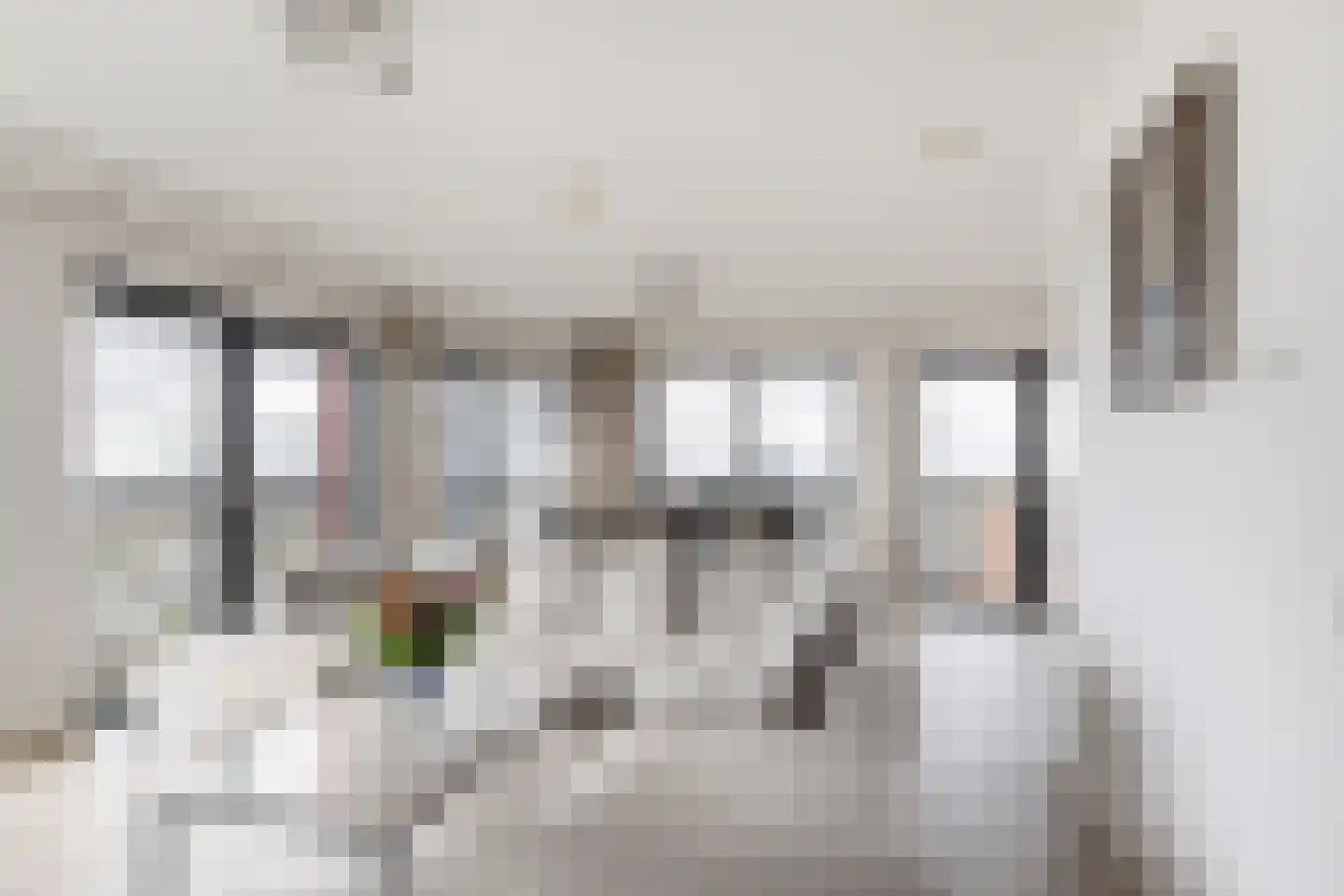 Buskensven 1 Oostrum thumbnail 11