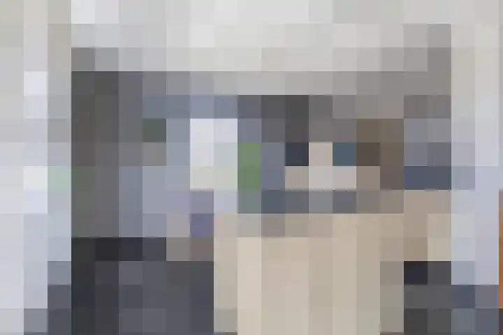 Buskensven 1 Oostrum thumbnail 11