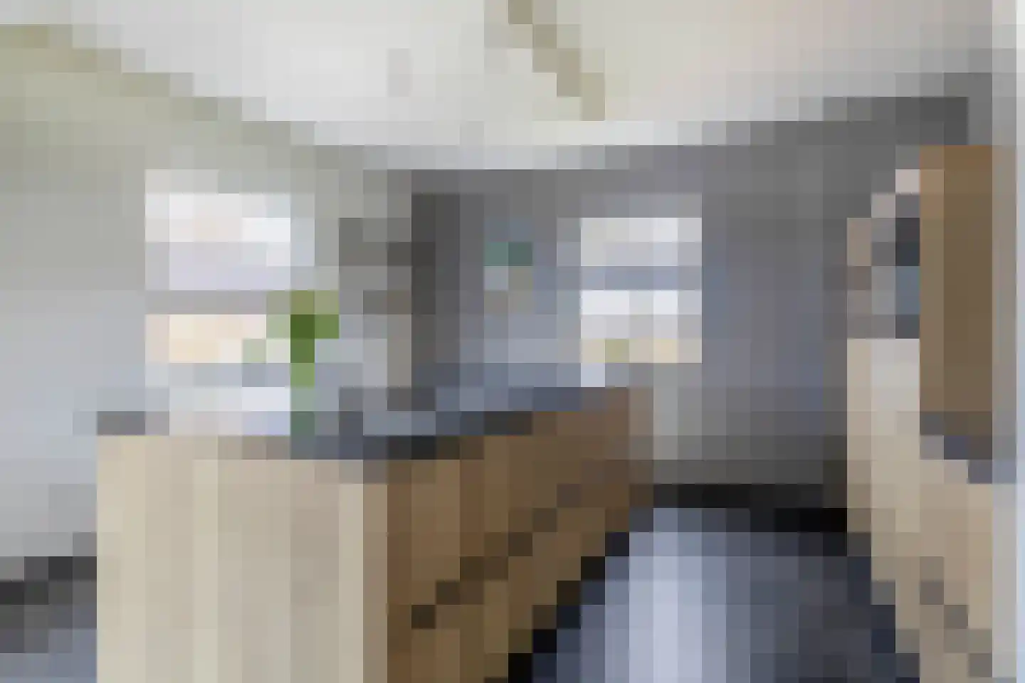 Buskensven 1 Oostrum thumbnail 12