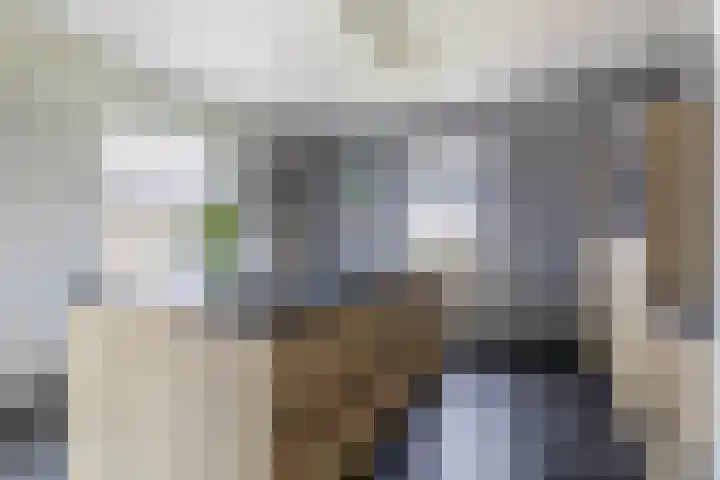 Buskensven 1 Oostrum thumbnail 12