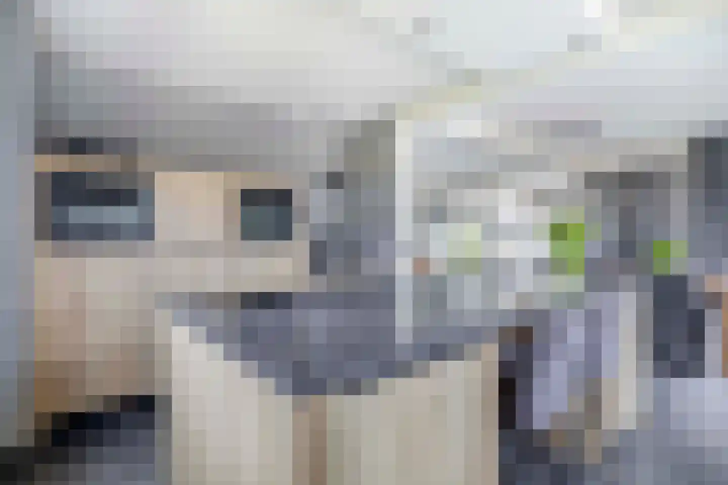 Buskensven 1 Oostrum thumbnail 13