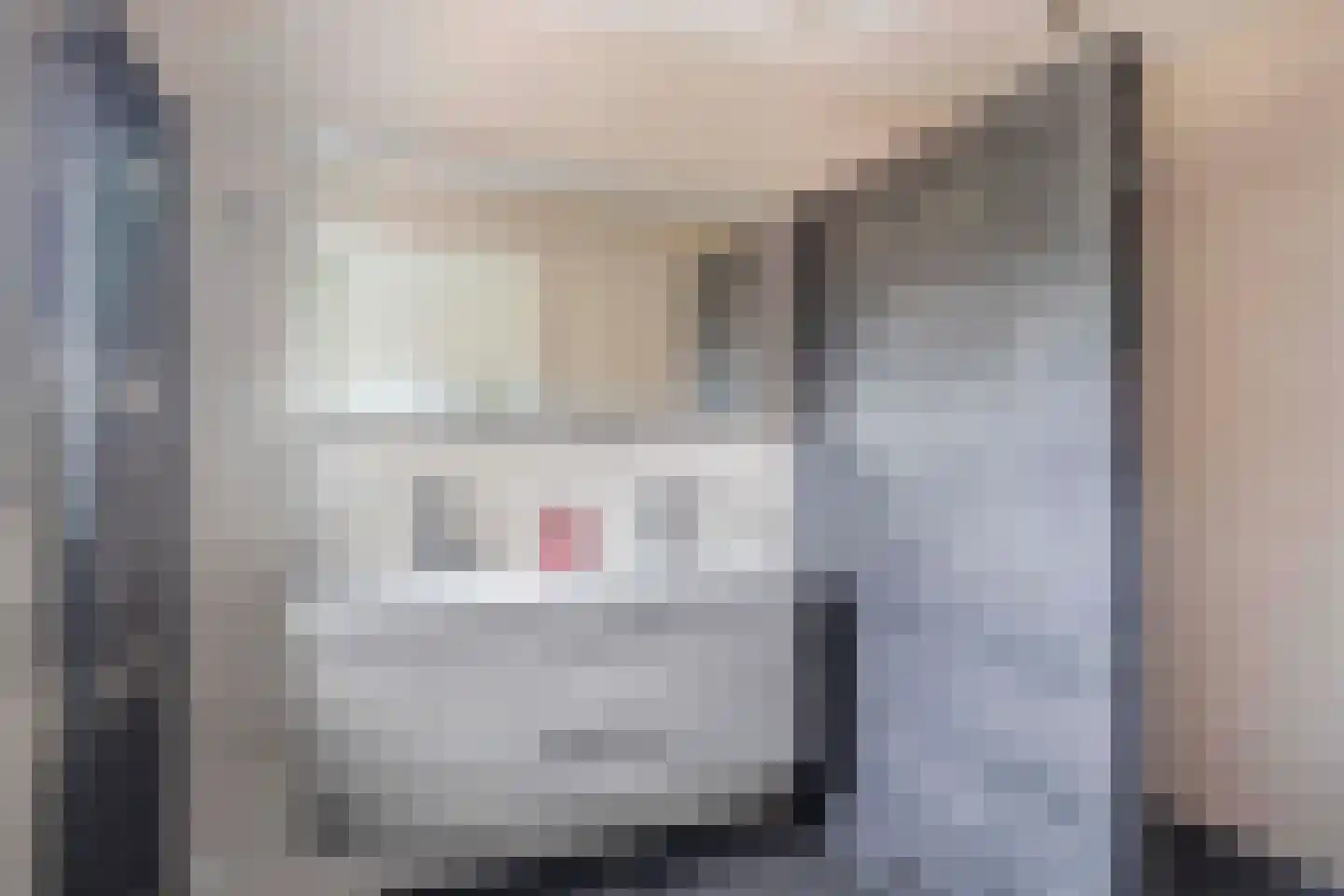 Buskensven 1 Oostrum thumbnail 17