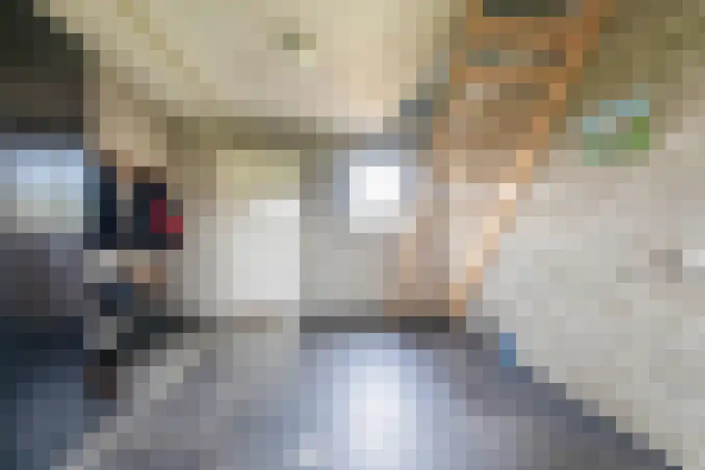 Buskensven 1 Oostrum thumbnail 18