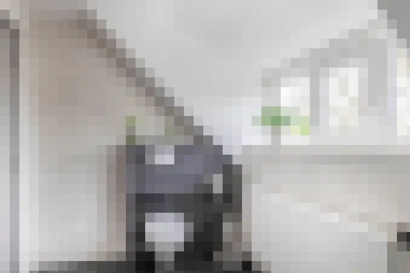 Buskensven 1 Oostrum thumbnail 24