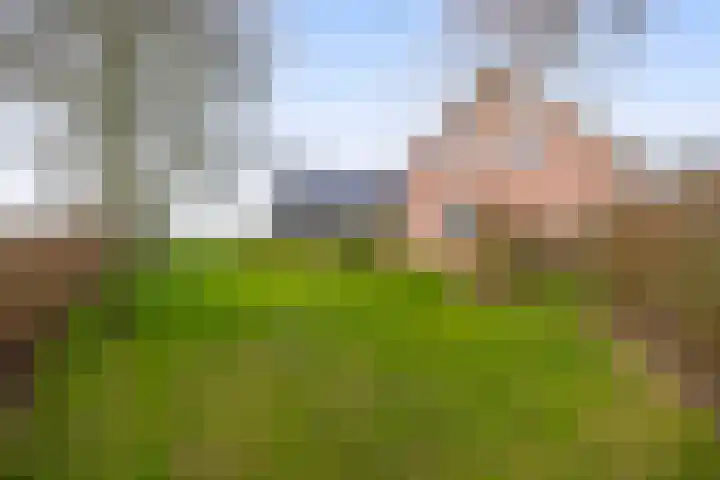 Buskensven 1 Oostrum thumbnail 25