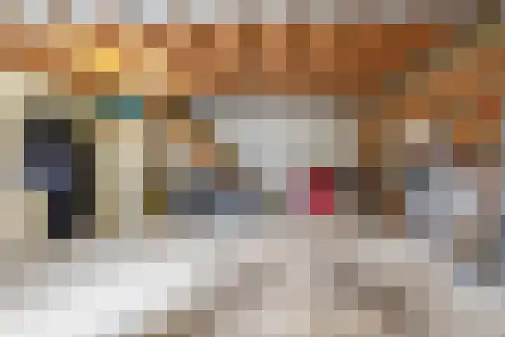 Buskensven 1 Oostrum thumbnail 28
