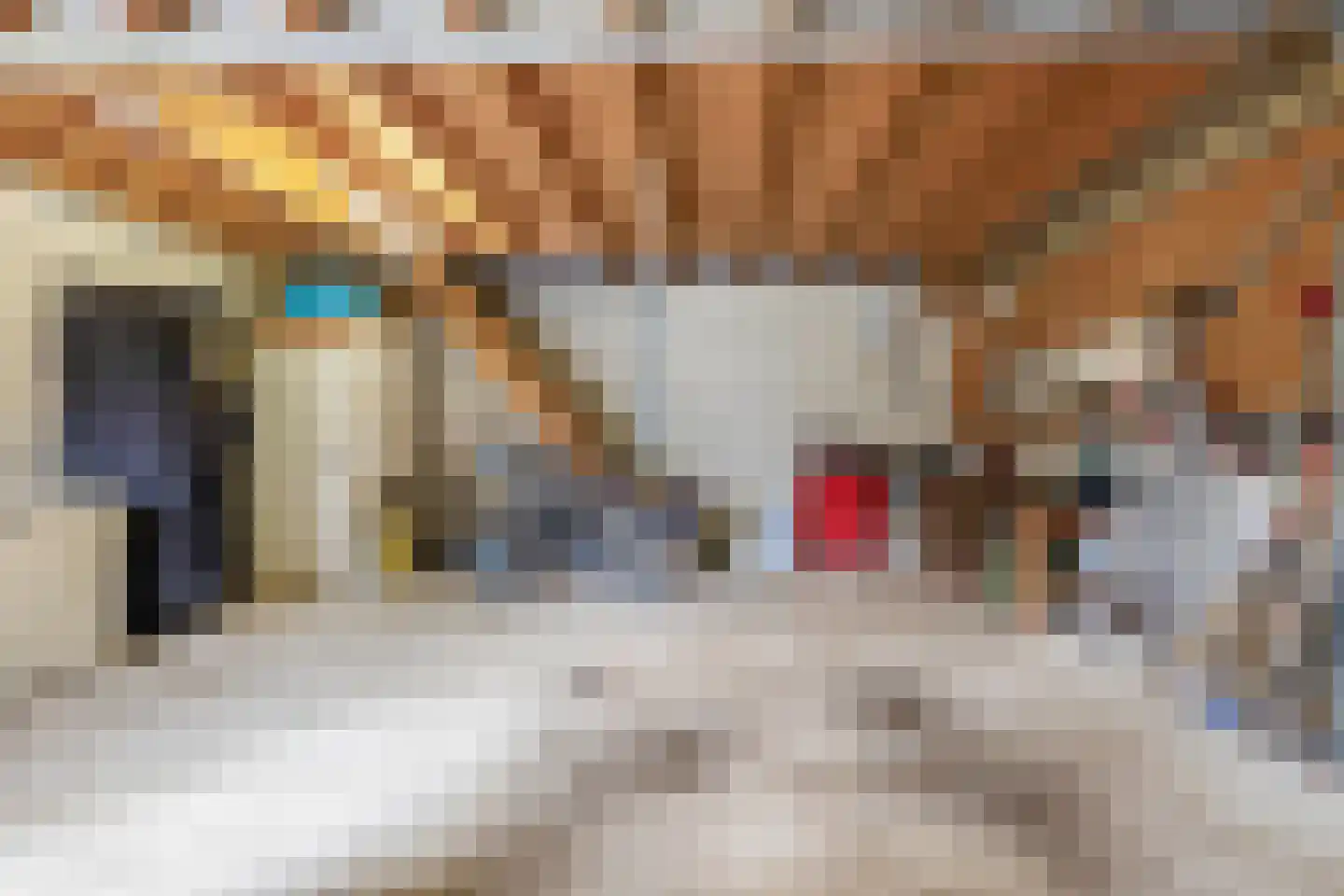 Buskensven 1 Oostrum thumbnail 28