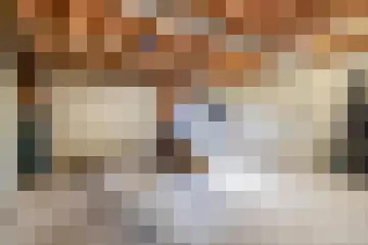 Buskensven 1 Oostrum thumbnail 29