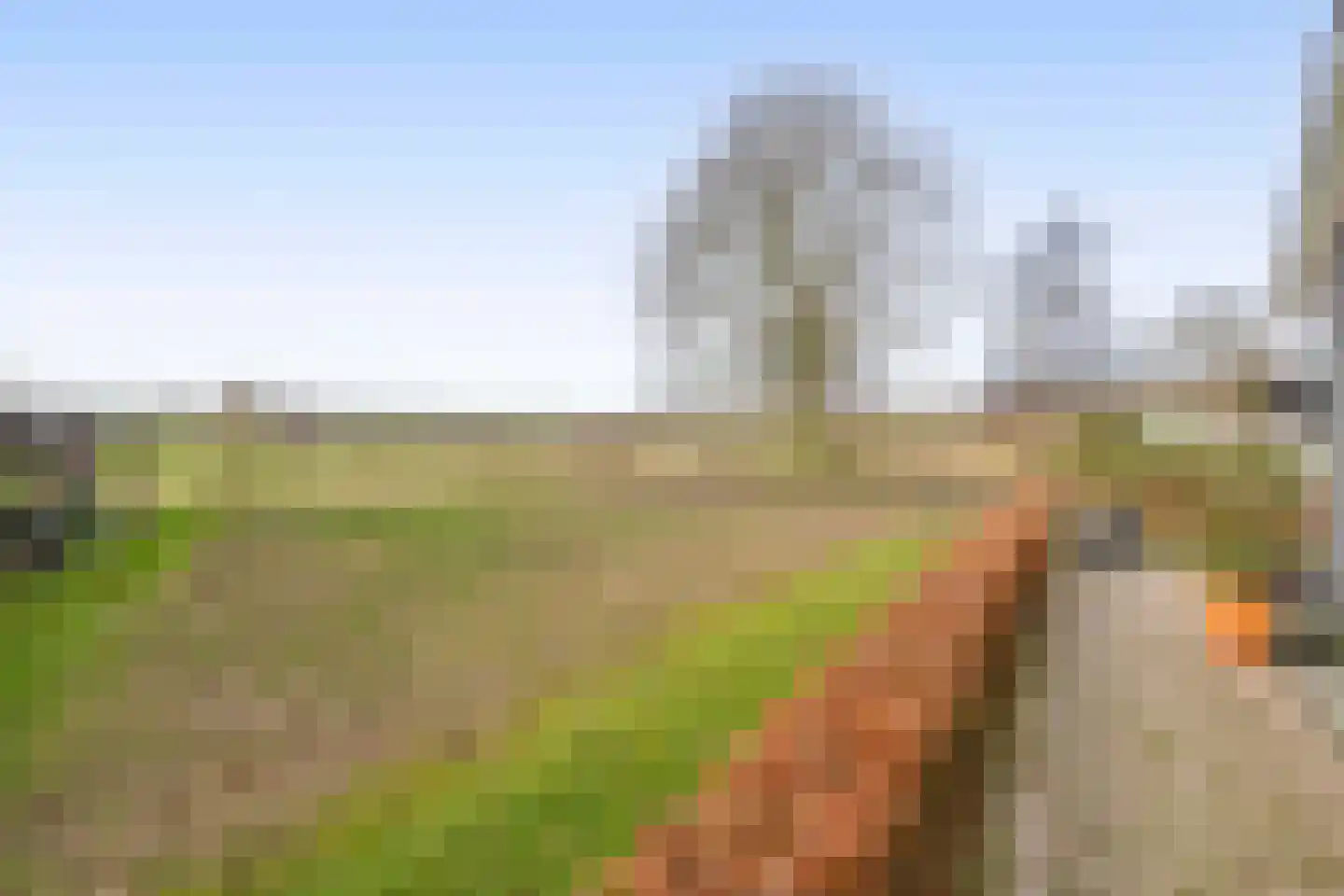 Buskensven 1 Oostrum thumbnail 36