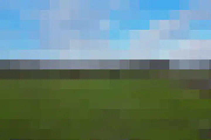 Buskensven 1 Oostrum thumbnail 38
