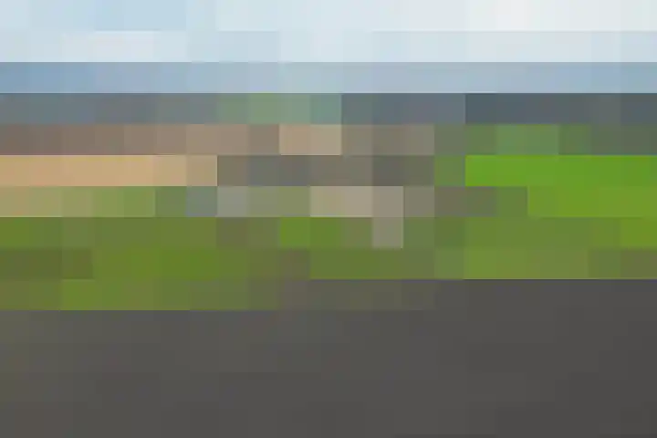 Buskensven 1 Oostrum thumbnail 4