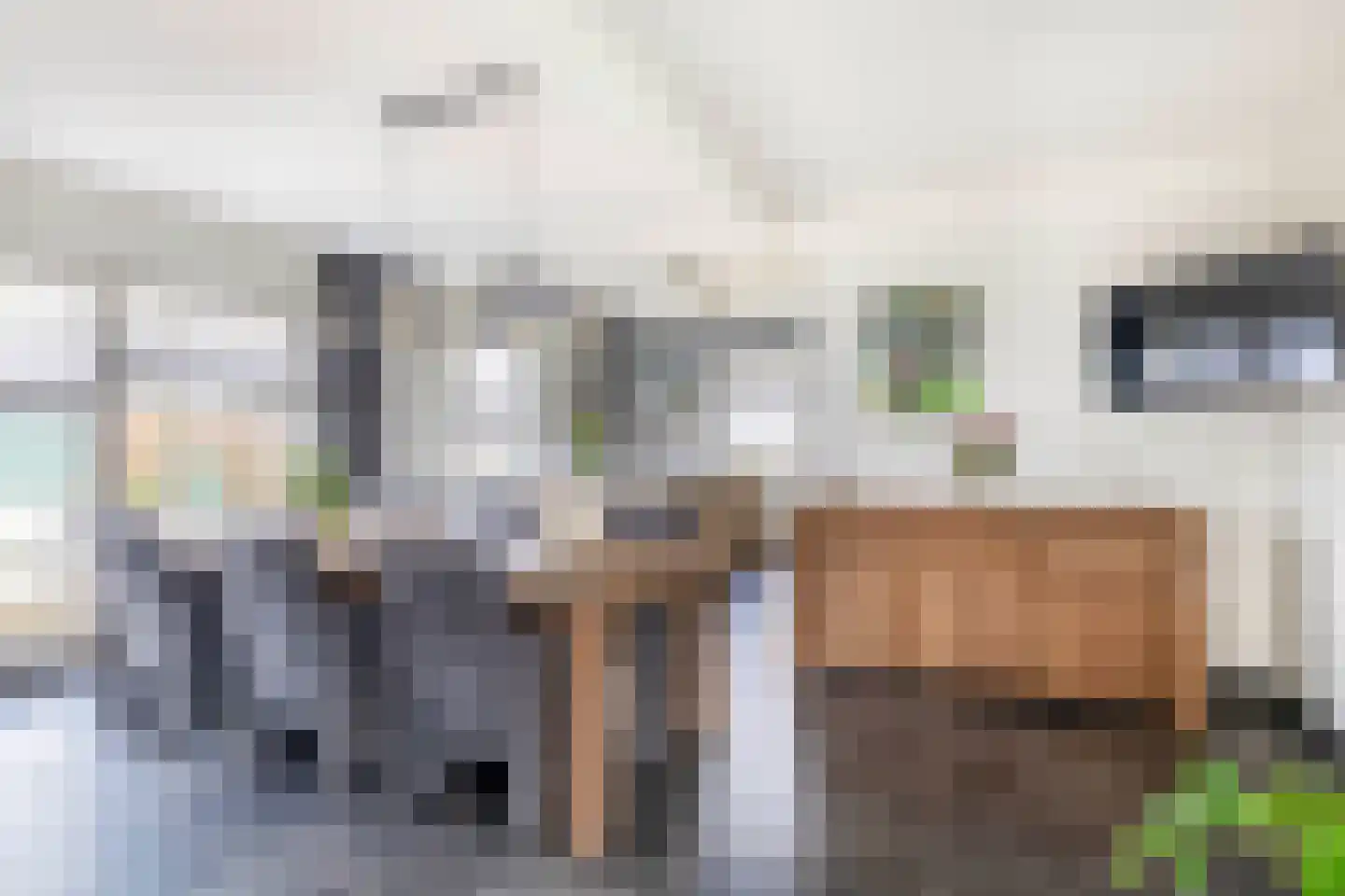 Buskensven 1 Oostrum thumbnail 9