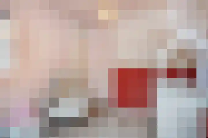 Buskeshoeven 133 Rosmalen thumbnail 16