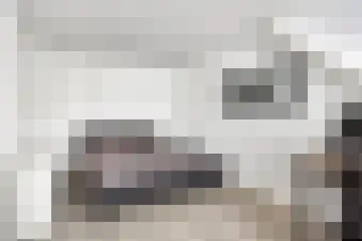 Buskeshoeven 133 Rosmalen thumbnail 20