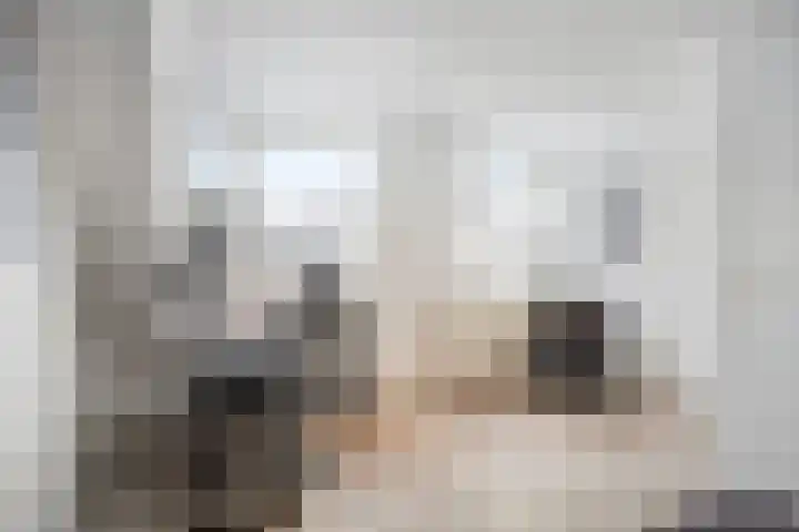 Buskeshoeven 133 Rosmalen thumbnail 21
