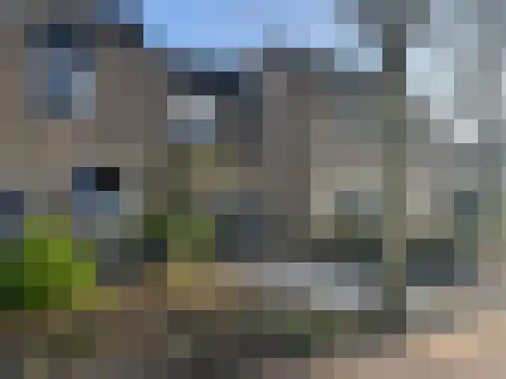 Buskeshoeven 133 Rosmalen thumbnail 27