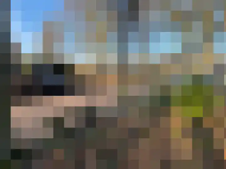 Buskeshoeven 133 Rosmalen thumbnail 29