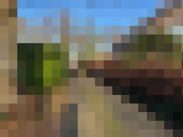 Buskeshoeven 133 Rosmalen thumbnail 30