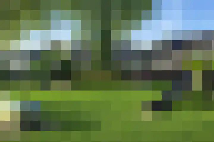 Buskeshoeven 133 Rosmalen thumbnail 31