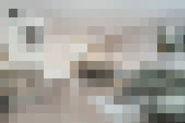 Buskeshoeven 133 Rosmalen thumbnail 4