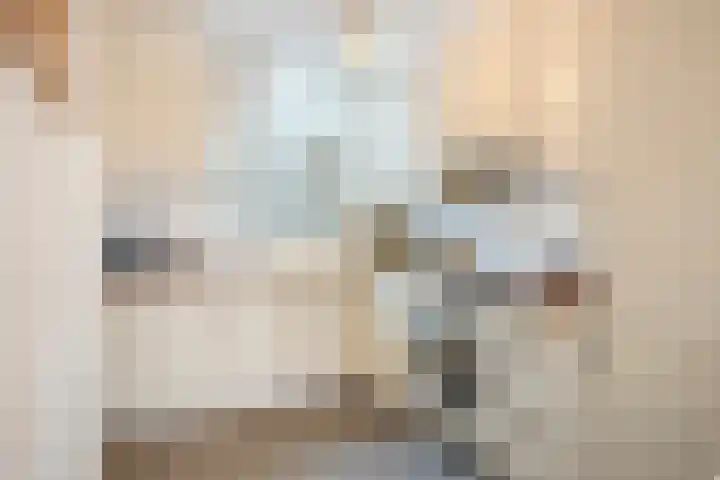 Buskeshoeven 133 Rosmalen thumbnail 7