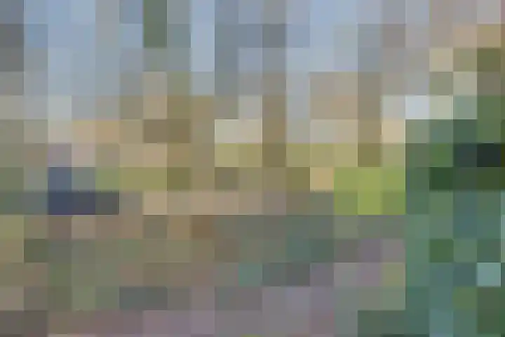 Buskeshoeven 31 Rosmalen thumbnail 31