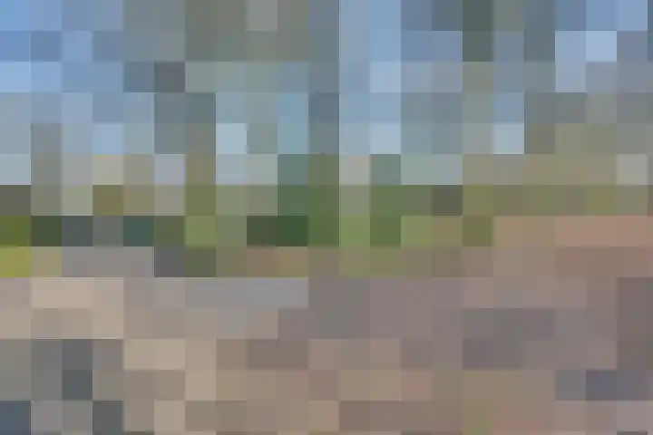 Buskeshoeven 31 Rosmalen thumbnail 33