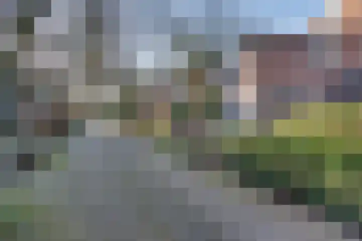 Buskeshoeven 31 Rosmalen thumbnail 34