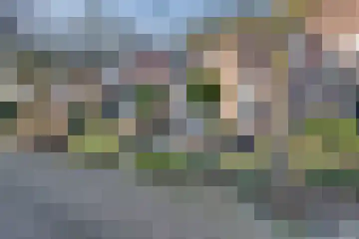 Buskeshoeven 31 Rosmalen thumbnail 35