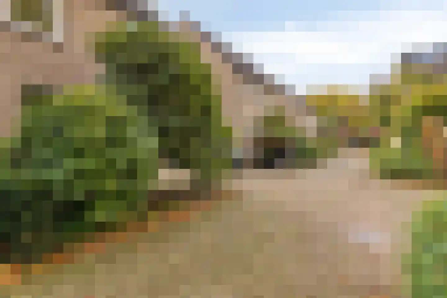Buskeshoeven 99 Rosmalen thumbnail 31