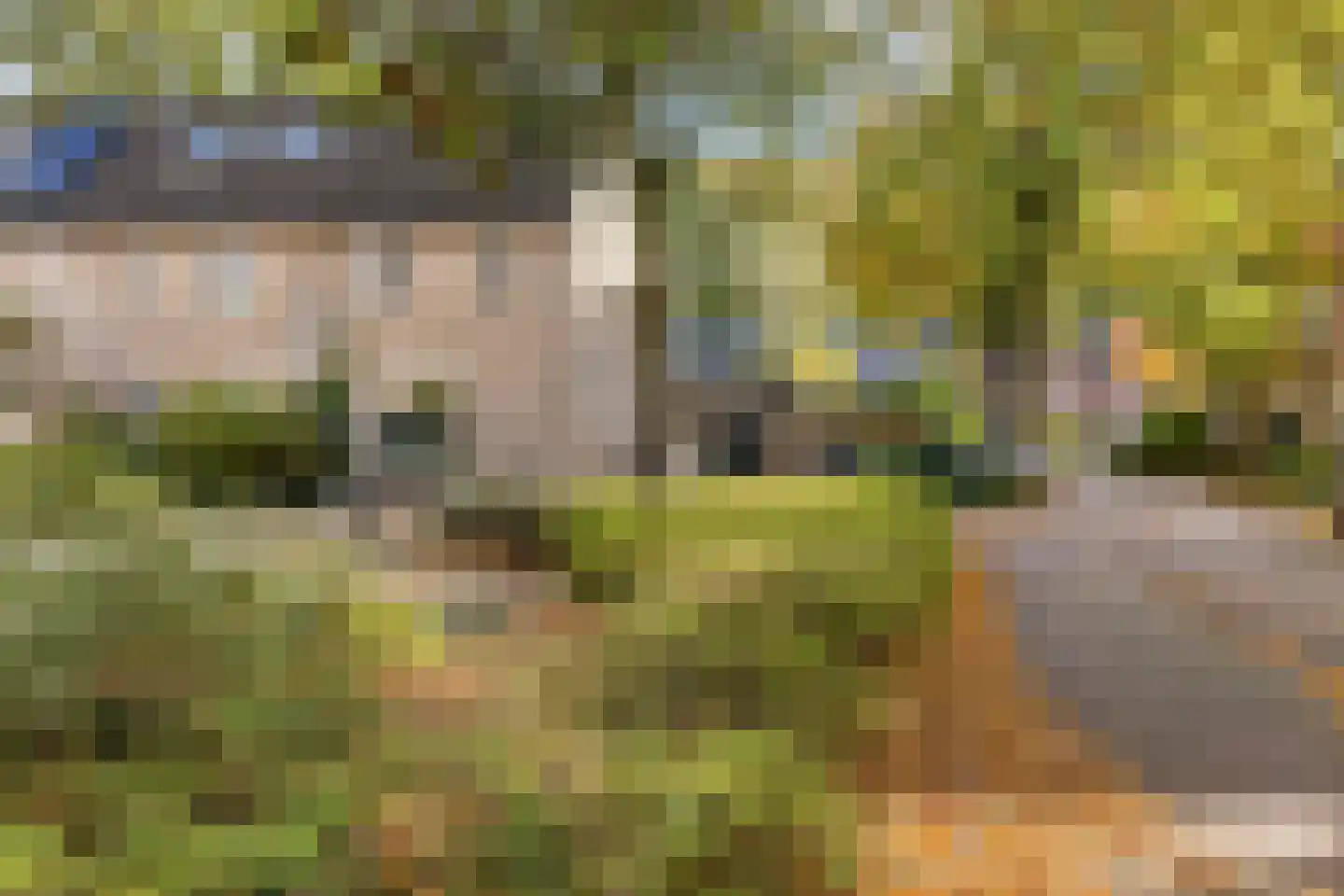 Buskeshoeven 99 Rosmalen thumbnail 35