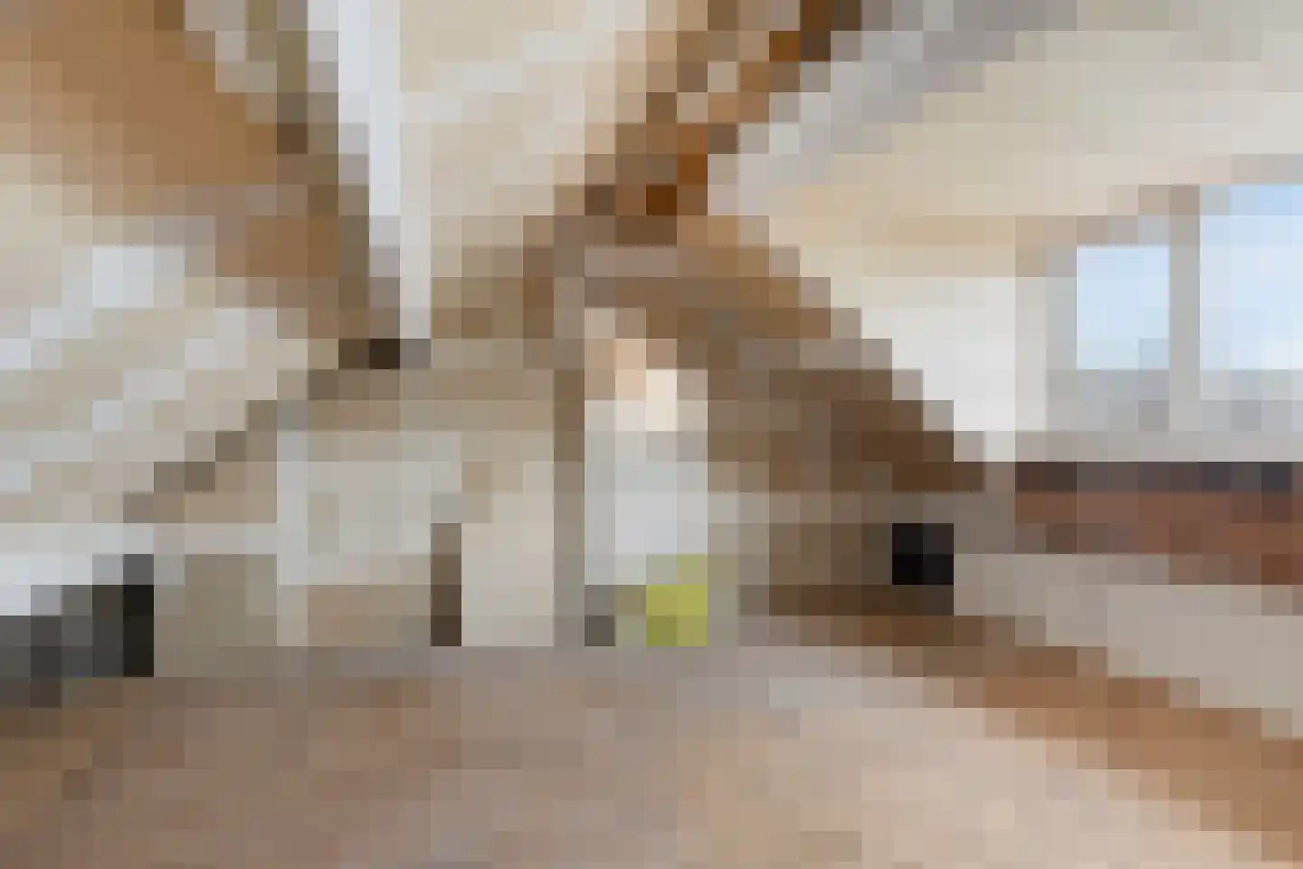 Busonilaan 13 Eindhoven thumbnail 28