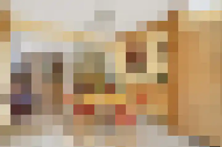 Busonilaan 19 Eindhoven thumbnail 15