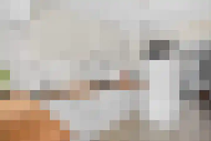 Busonilaan 19 Eindhoven thumbnail 18