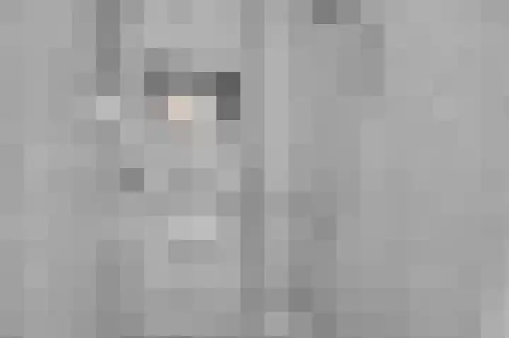 Busonilaan 19 Eindhoven thumbnail 38