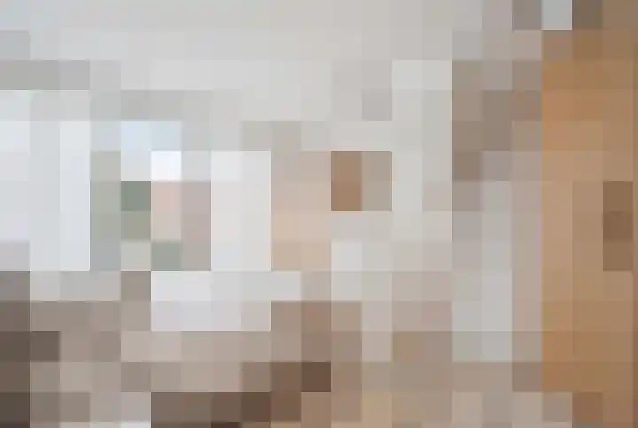 Busonilaan 19 Eindhoven thumbnail 42